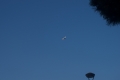 2020121262