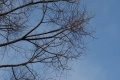 2020121275