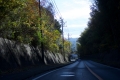 2020121204