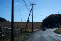 2020121294