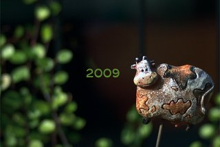 wp20090101a.jpg