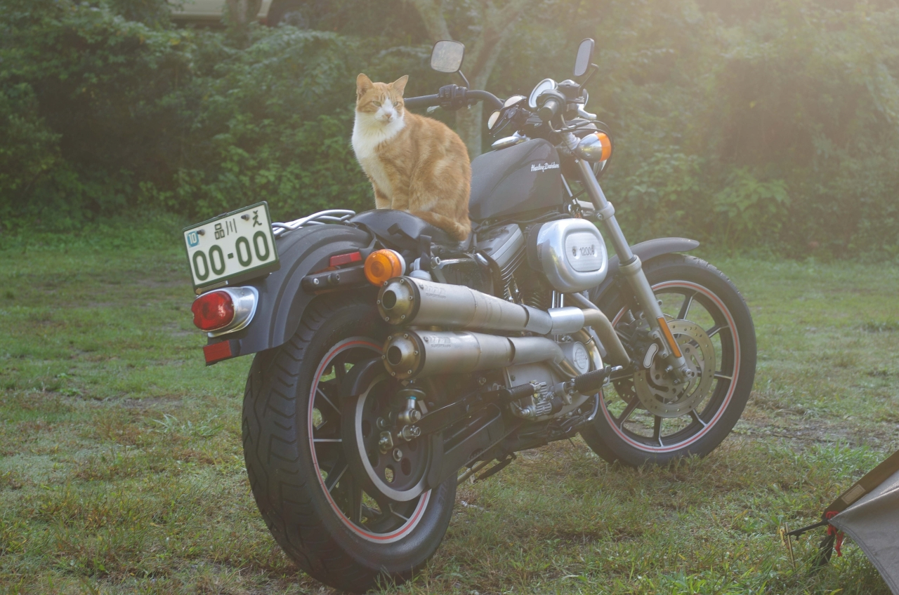 バイクでキャンプ 花はなの里オートキャンプ場