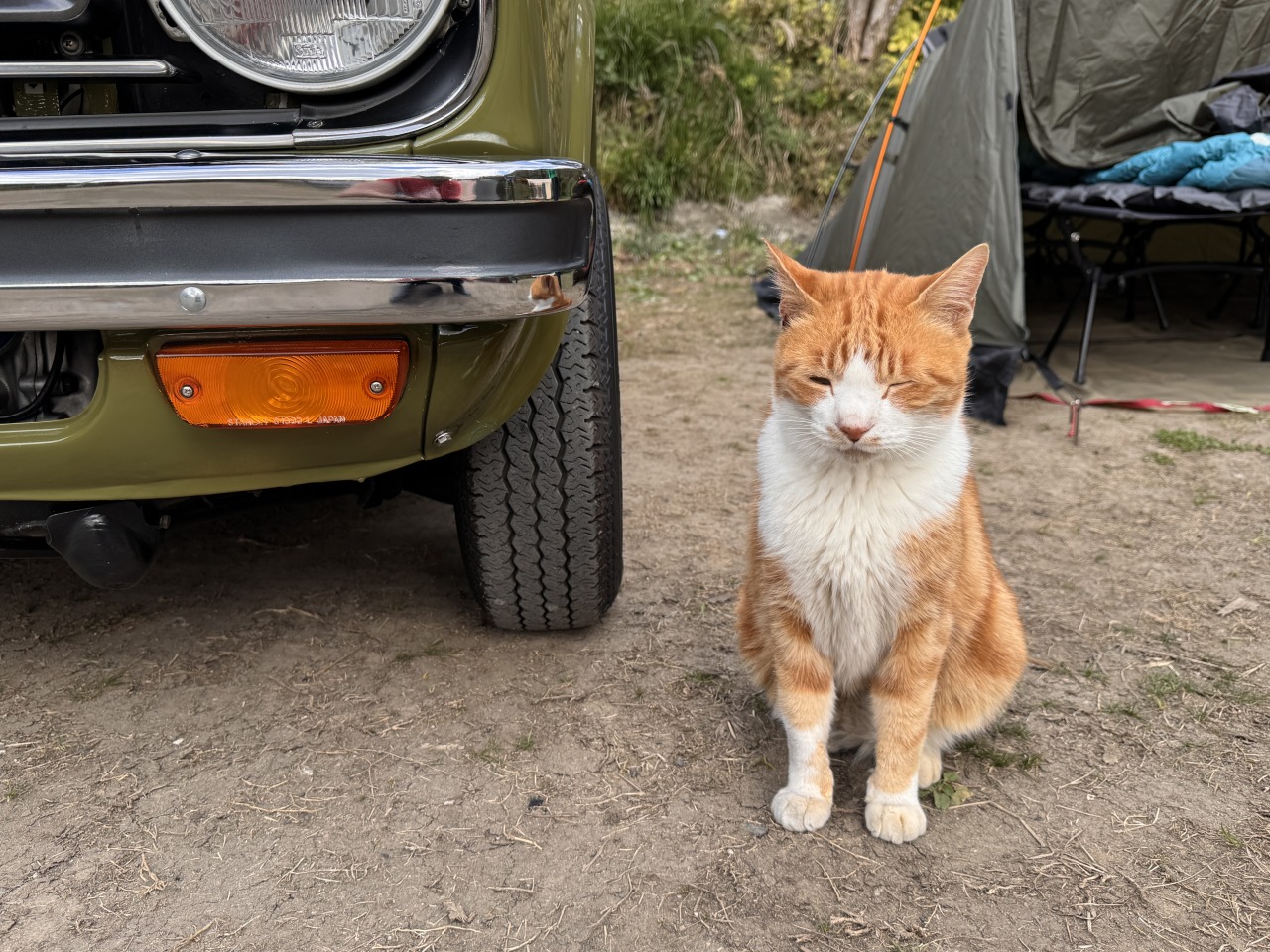 4CAM SPORTY 忘年キャンプ 2025